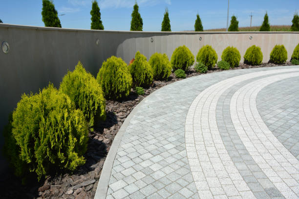 Driveway Repair Near Me in North Lakes, AK